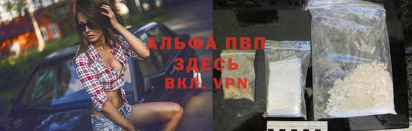 крисы Алзамай