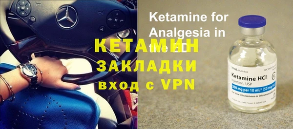 крисы Алзамай