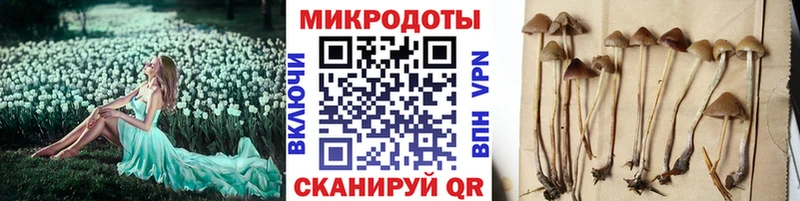 KRAKEN сайт  Лагань  Псилоцибиновые грибы Psilocybine cubensis 